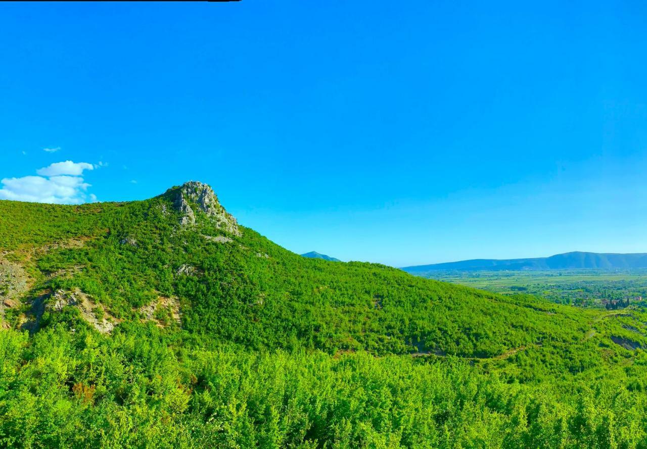 Hani I Leks Agroturizem Lezha Kültér fotó